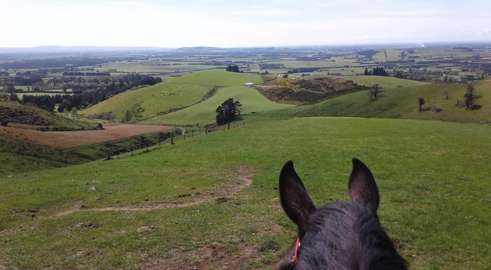 Ride Your Horse on The Grange
