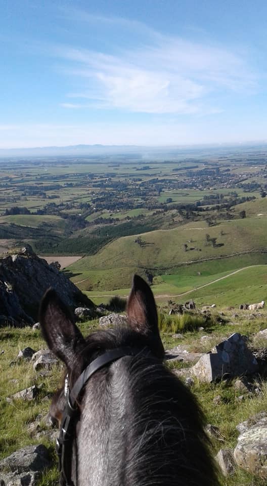 Ride Your Horse on The Grange