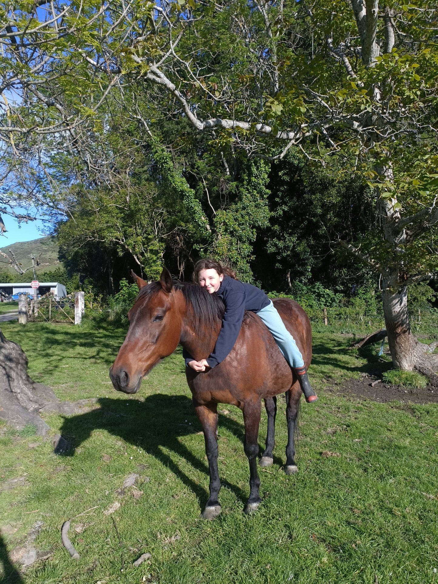 Ride Your Horse on The Grange