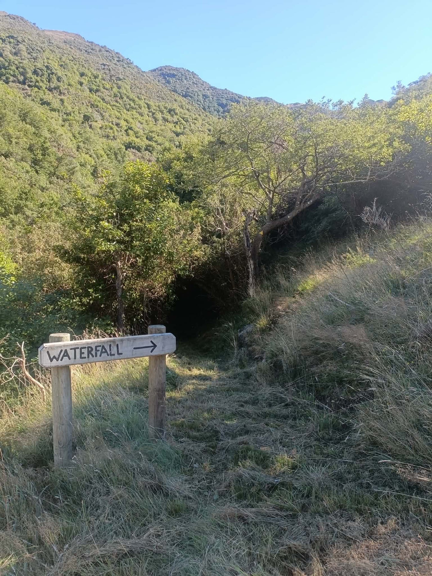 Stay in Our Back Hut